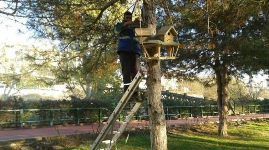 Başakşehir&rsquo;in Kuşlarına Soğuk Havalarda Sıcak Yuva