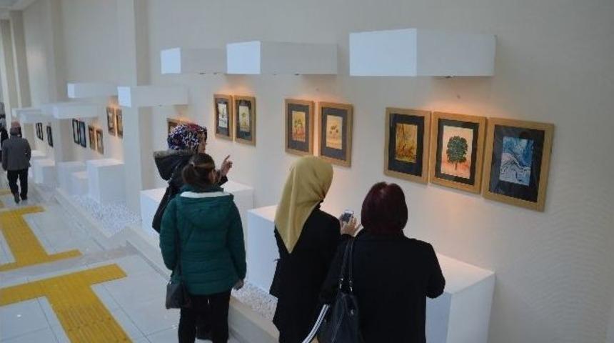 Fatsa&rsquo;da &ldquo;ebrudan Yeşerenler&rdquo; Sergisi