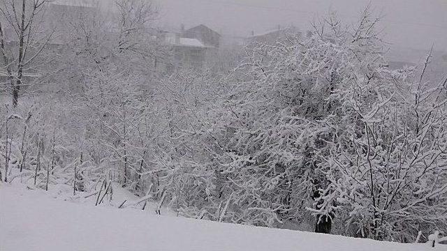 &Ccedil;an&rsquo;da Yoğun Kar Yağışı 3