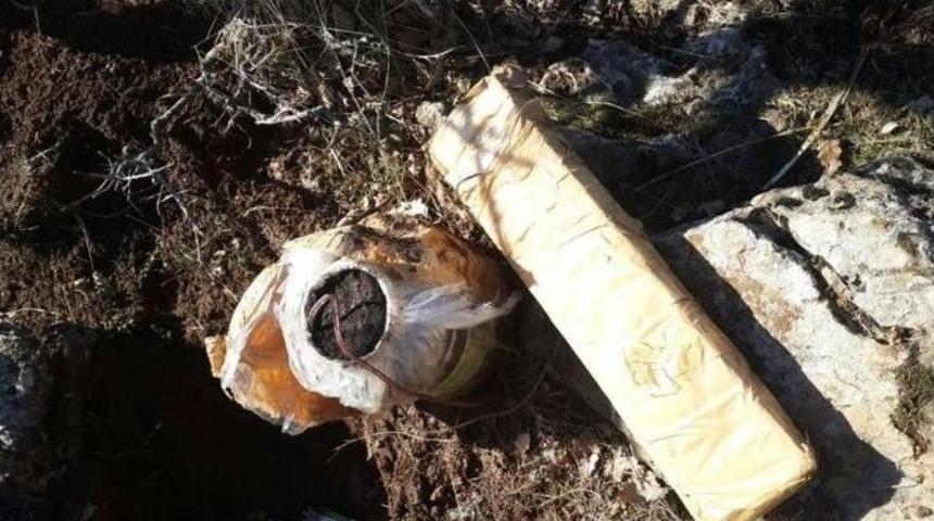 Bitlis’te 1 Adet Eyp İmha Edildi