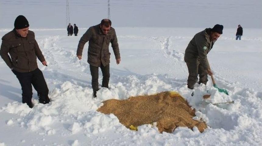 Muş&rsquo;ta Yaban Hayvanları İ&ccedil;in Doğaya Yem Bırakıldı