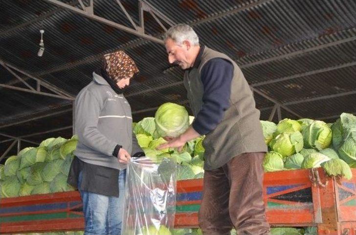 Kışlık Sebze Üreticileri Raftaki Fiyatlardan Şikayetçi G4