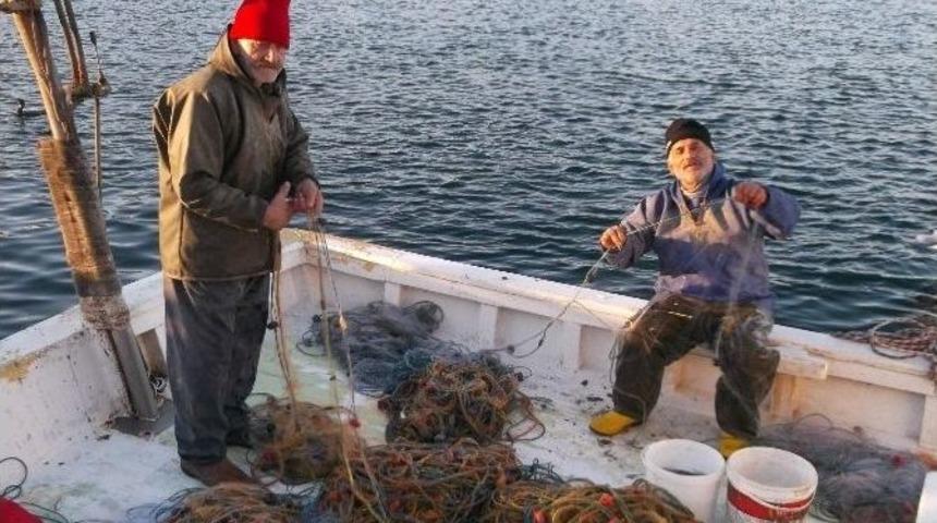 Palamut Gitti, K&uuml;&ccedil;&uuml;k Balık&ccedil;ılar İ&ccedil;in Umutlar Bitti