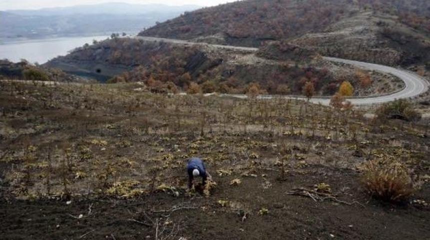 26 Bin Yıllık Fosil Ayak Izleri Korunmayı Bekliyor