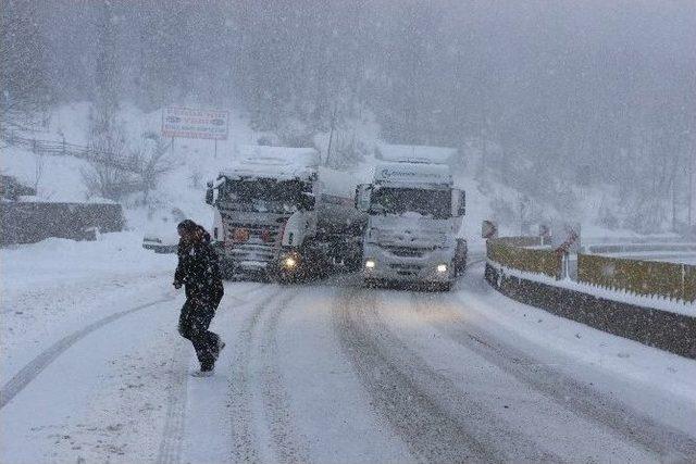 Bolu Dağında Kar Yağışı Hayatı Olumsuz Etkiliyor