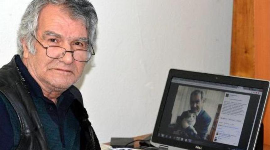 Fakültedeki 3 Kedi 40 Kilometre Uzağa Bırakıldı