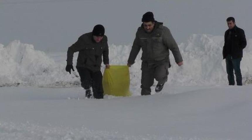 Yaban Hayata Yiyecek Bıraktılar