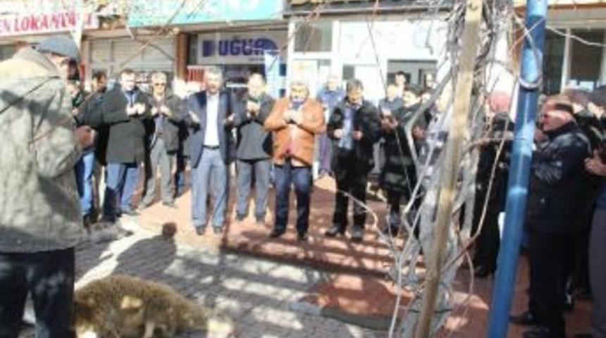 Hisarcık Belediyesi&rsquo;nden Yeni Yıl Kurbanı