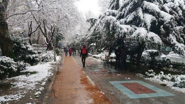 Kocaeli’de Kar Yağışı Kartpostallık Görüntüler Oluşturdu