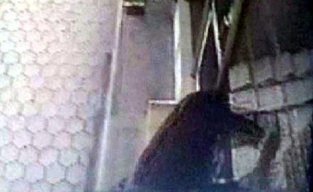 Soyguncu, Taşla Kuyumcu Camını Kıramayınca Ka&ccedil;tı 3