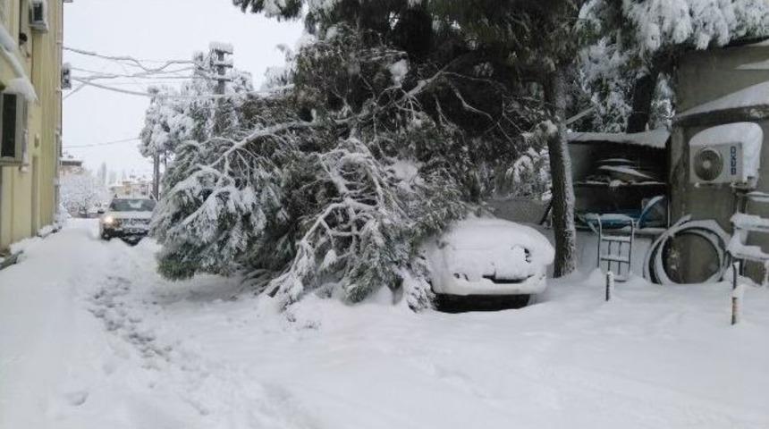 Balıkesir&rsquo;in İl&ccedil;eleri Kara G&ouml;m&uuml;ld&uuml;