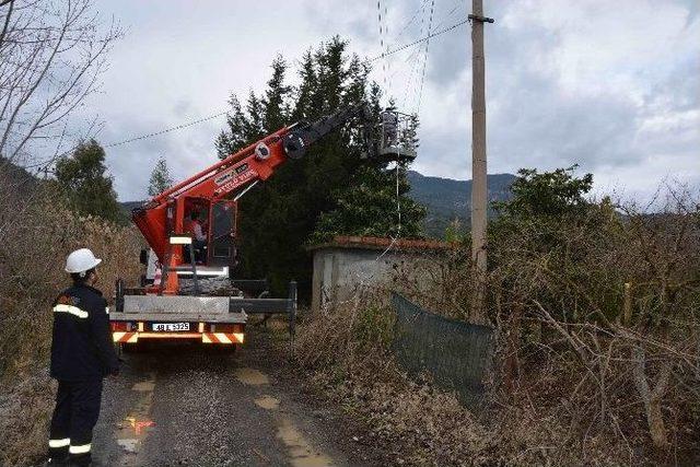 Fırtına Elektrik Telleri Koparıp Ağaçları Devirdi