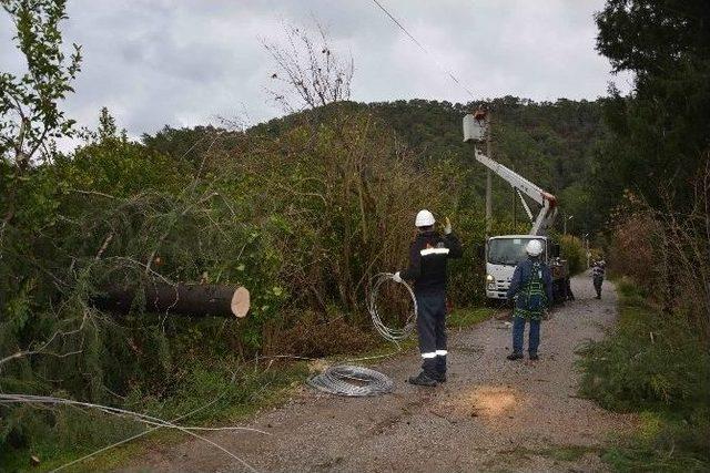 Fırtına Elektrik Telleri Koparıp Ağaçları Devirdi