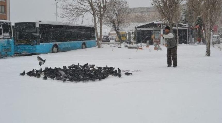 Karda Yem Bulamayan Kuşların Yardımına Vatandaş Koştu