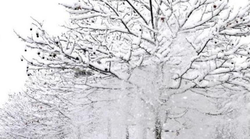 Kocaeli'nde Her Yer Beyaz