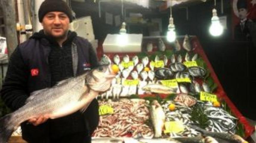 8 Kiloluk Levrek Tezgahta Ilgi G&ouml;rd&uuml;