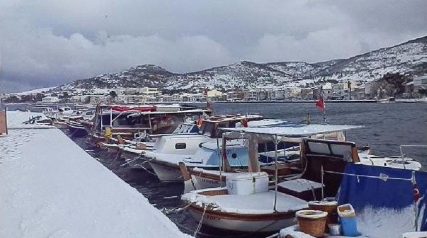 Fo&ccedil;a Beyaza B&uuml;r&uuml;nd&uuml;