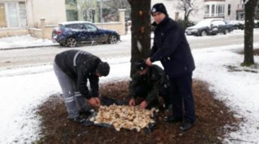 Sokak Hayvanlarına Yem