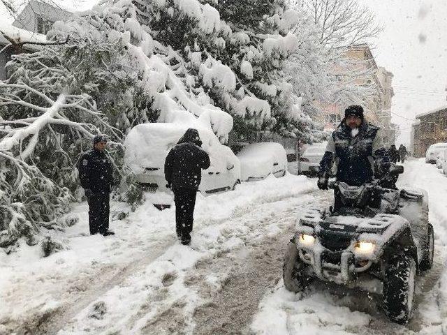 Bursa’da Devrilen 2 Ağaç 2 Araca Hasar Verdi