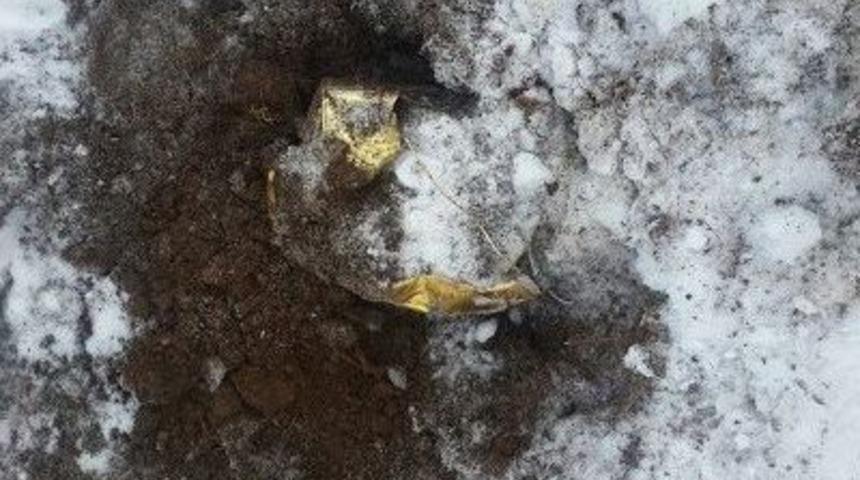 Elektrik Direğinin Altında Eyp Bulundu