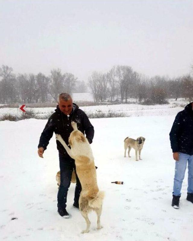 Trakya’Da Kar Ve Soğuk Hayatı Felç Etti (2)