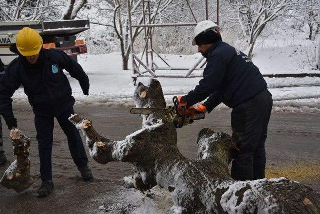 Yunusemre&rsquo;de Kar Mesaisi S&uuml;r&uuml;yor 1