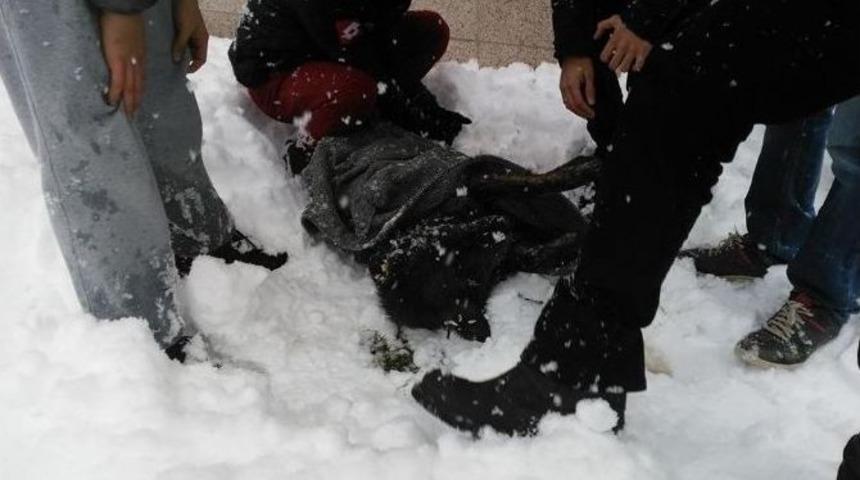 Donmak &Uuml;zere Olan K&ouml;peği Kendi Montuyla Isıtmaya &Ccedil;alıştı