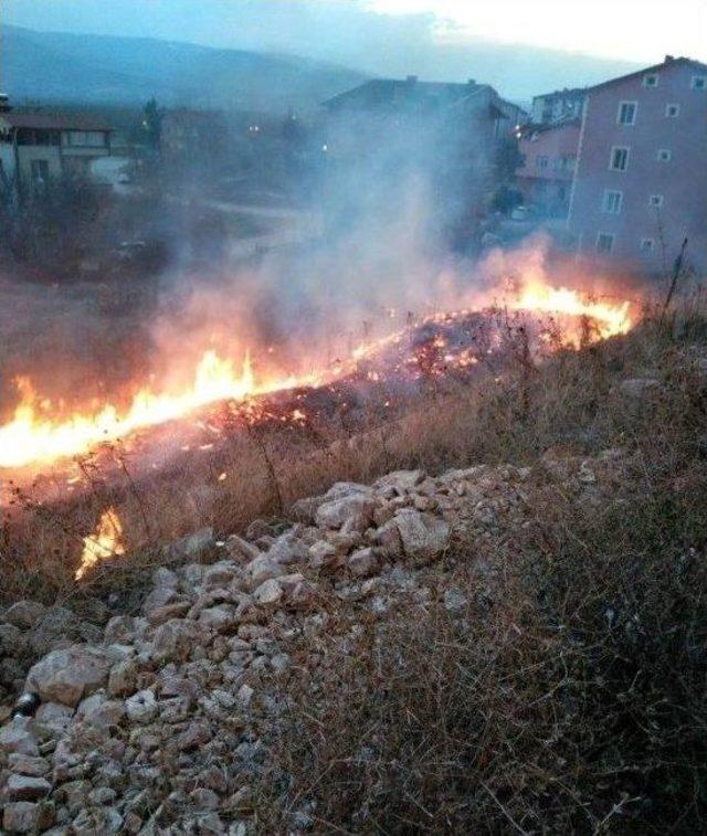 Niksar’da Mahalle Arasındaki Anız Yangını Korkuttu