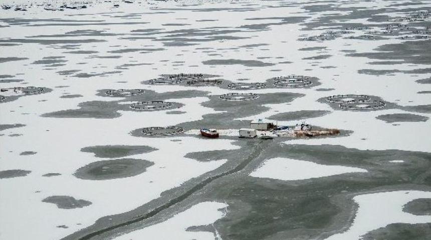 &Ccedil;elikhan &Ccedil;at Barajı Dondu