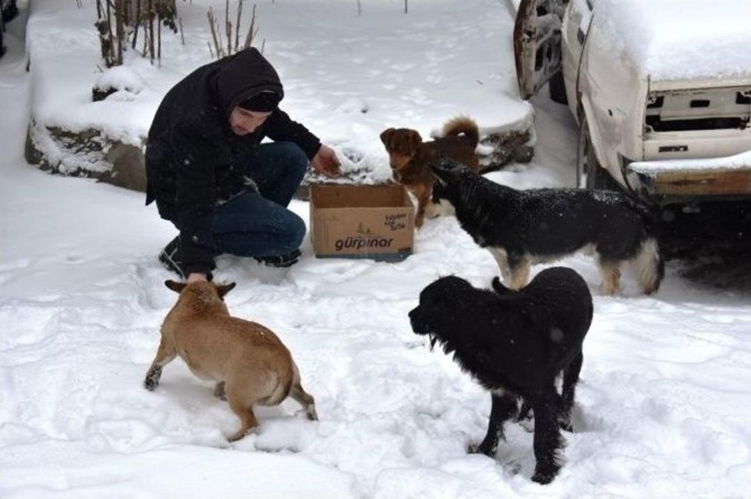 Tekirdağ&rsquo;da Sokak Hayvanlarını Unutmadı