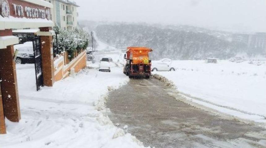 Tuzla Belediyesi, Karla M&uuml;cadele &Ccedil;alışmalarını Aralıksız S&uuml;rd&uuml;r&uuml;yor