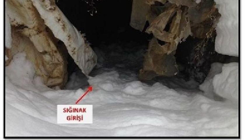 Bitlis'te Pkk Sığınakları Imha Edildi