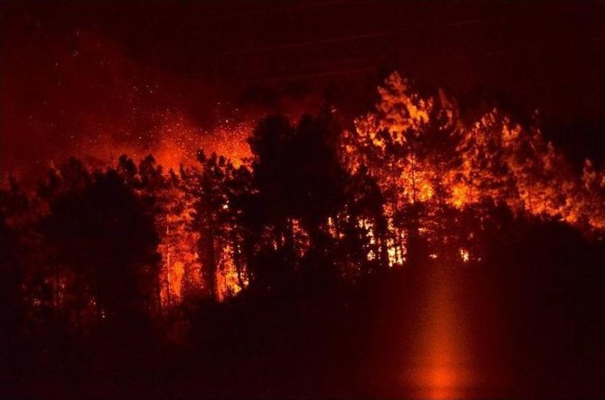 Trabzon&rsquo;da Orman Yangını