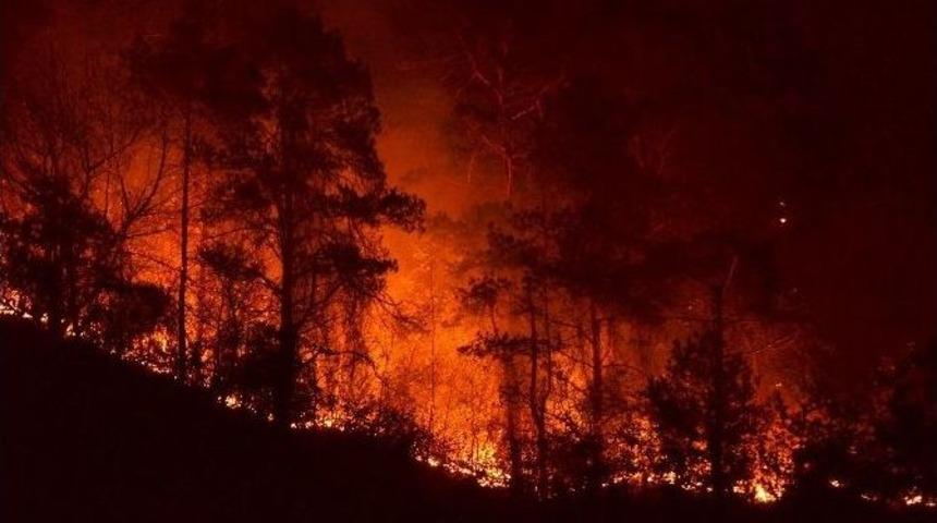 Trabzon Valisi Y&uuml;cel Yavuz: &ldquo;yangında 15-20 Hektar Kadar Bir Alanın Etkilendiğini D&uuml;ş&uuml;n&uuml;yoruz&rdquo;