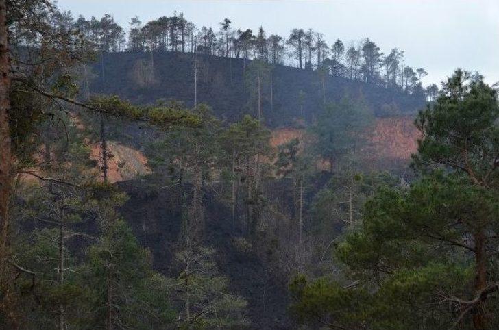 Günün Ağarmasıyla Trabzon’daki Yangının Boyutu Ortaya Çıktı G3