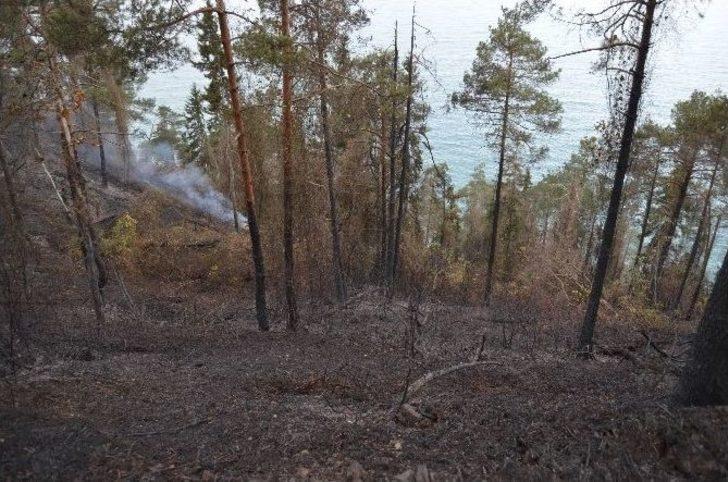 Günün Ağarmasıyla Trabzon’daki Yangının Boyutu Ortaya Çıktı G4