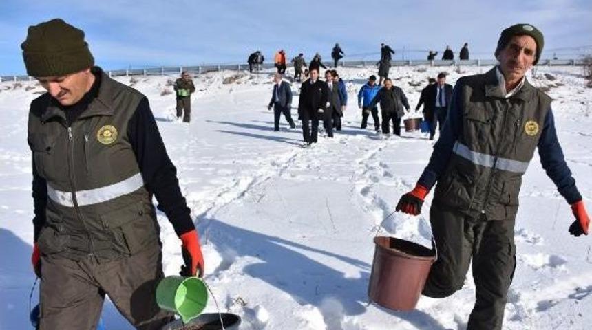 Yaban Hayatı Için Doğaya Yem Bırakıldı