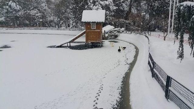 Yıldız Parkı&rsquo;nda G&ouml;let Buz Tuttu 1