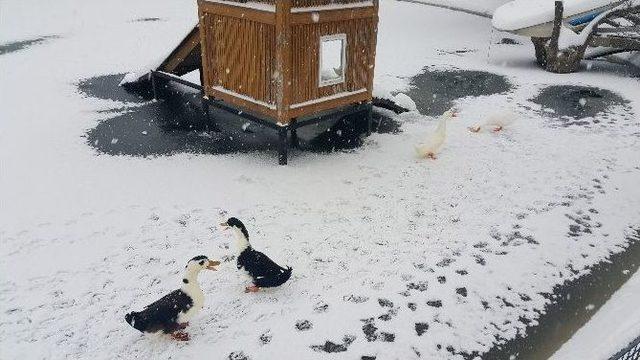 Yıldız Parkı&rsquo;nda G&ouml;let Buz Tuttu 3