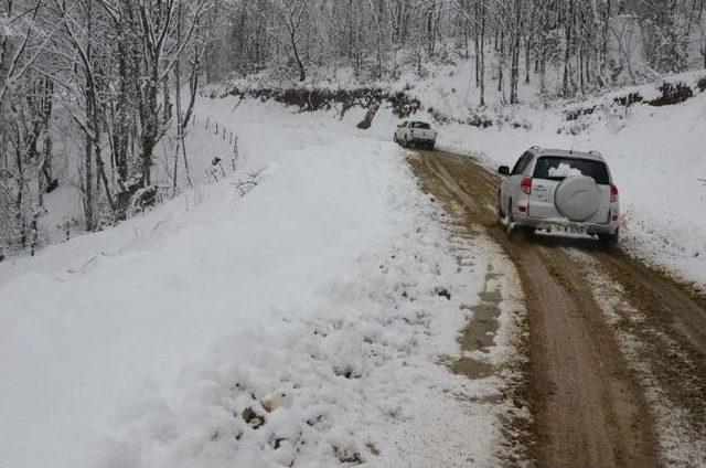 Ak Parti İl Başkanı, Karla Mücadele Çalışmalarını İnceledi 1