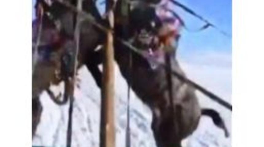 Buz Tutan &Ccedil;ıldır G&ouml;l&uuml;nde Kızağa Takılı Atlar Kavga Etti