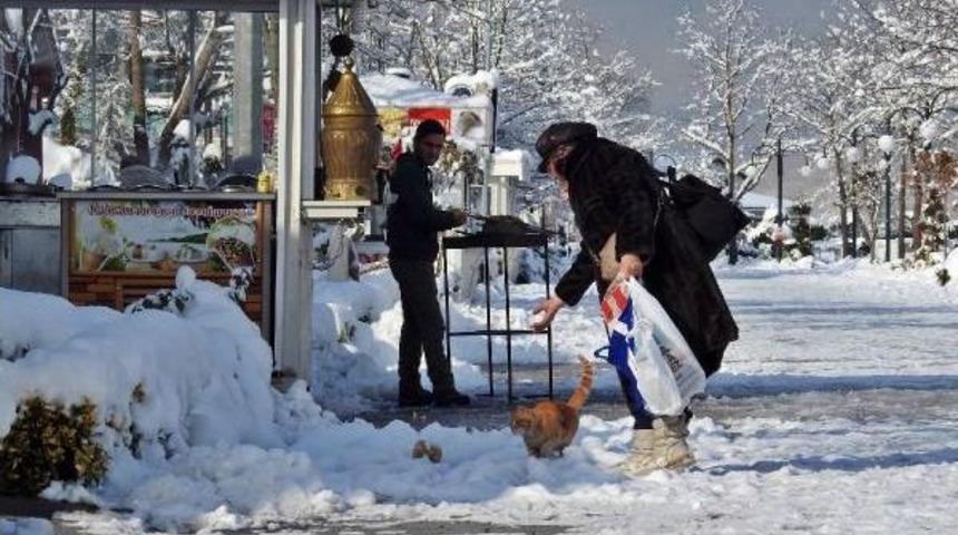 Sapanca'da Kar G&uuml;zelliği