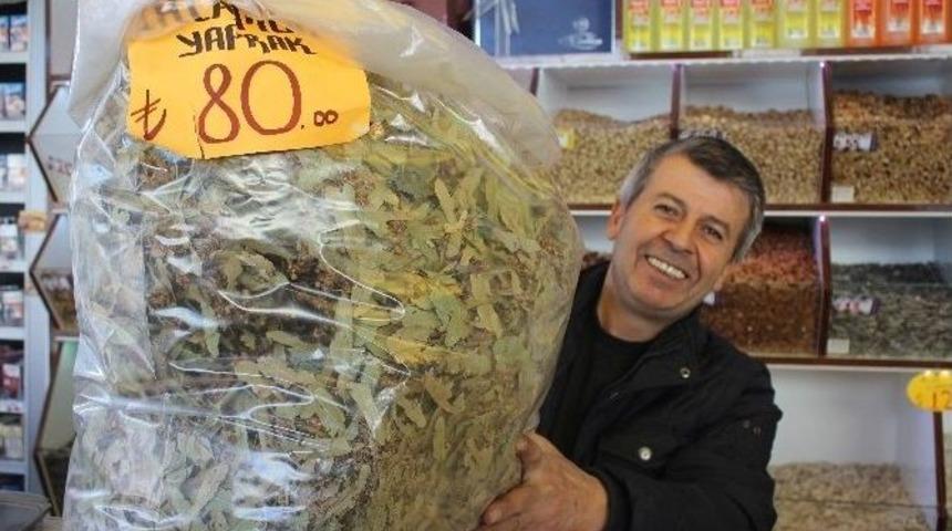 Havalar Soğudu, Ihlamur Satışları Arttı