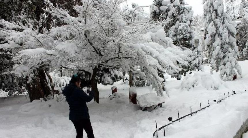 Kar Altında Havuz Keyfi