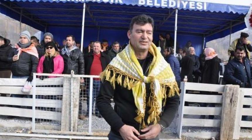 Germencik'te Soğuk Havaya Rağmen Deve G&uuml;reşine B&uuml;y&uuml;k Ilgi