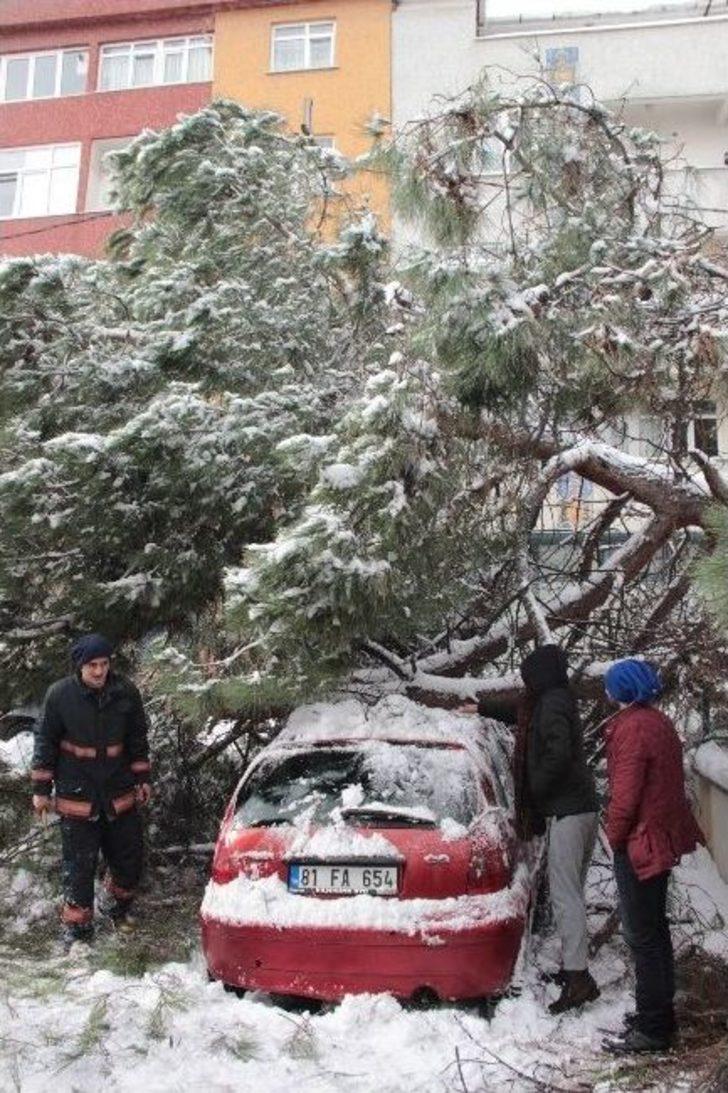 Kar, 50 Yıllık Çam Ağacını Otomobilin Üzerine Devirdi G5