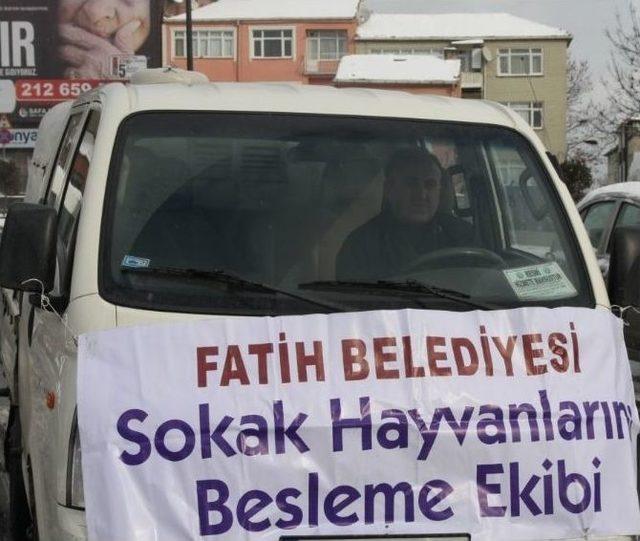 Fatih Belediyesi Sokak Hayvanlarını Yalnız Bırakmadı