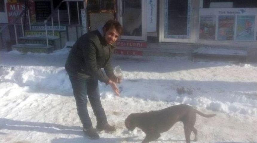 Esnaftan Para Toplayarak Karda A&ccedil; Kalan Sokak Hayvanlarını Beslediler