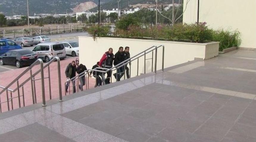 Kefir Şişesinden Bonzai &Ccedil;ıktı