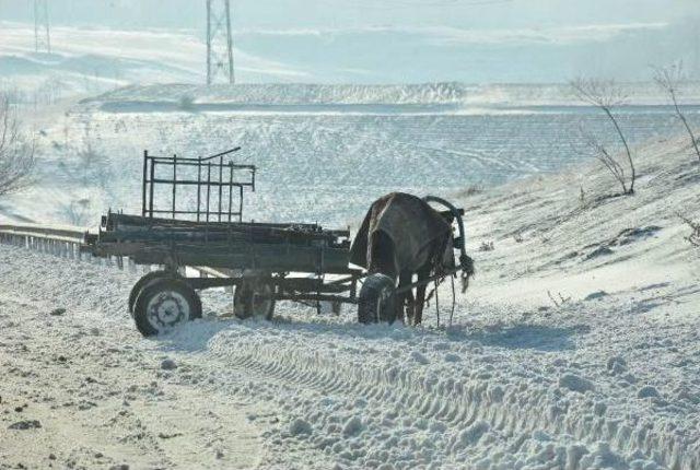 Çorlu'da Kar Durdu, Buzları Itfaiye Temizledi